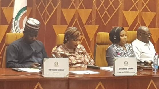 The legislature of the Economic Community of West African States (ECOWAS Parliament) has been urged to intensify its efforts in promoting gender-based projects