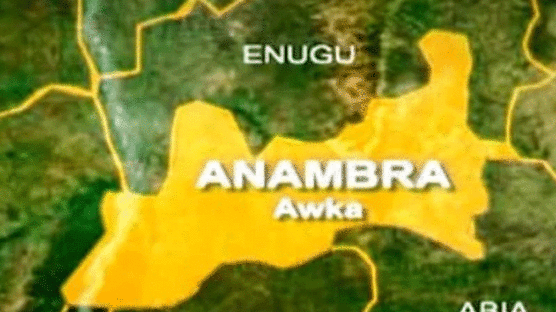 Nawfia community in Anambra State has denied a report that its Vigilante Group was involved in the killing of three individuals over a land dispute