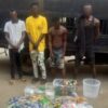 Lagos taskforce arrests four for trading illicit substances