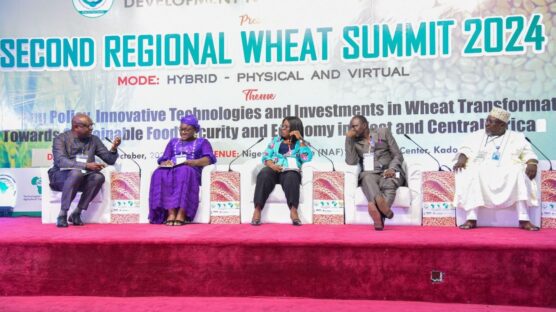 Nigeria spends $3.03 billion annually on wheat importation, according to the West and Central Africa Wheat Development Network (WECAWheat)