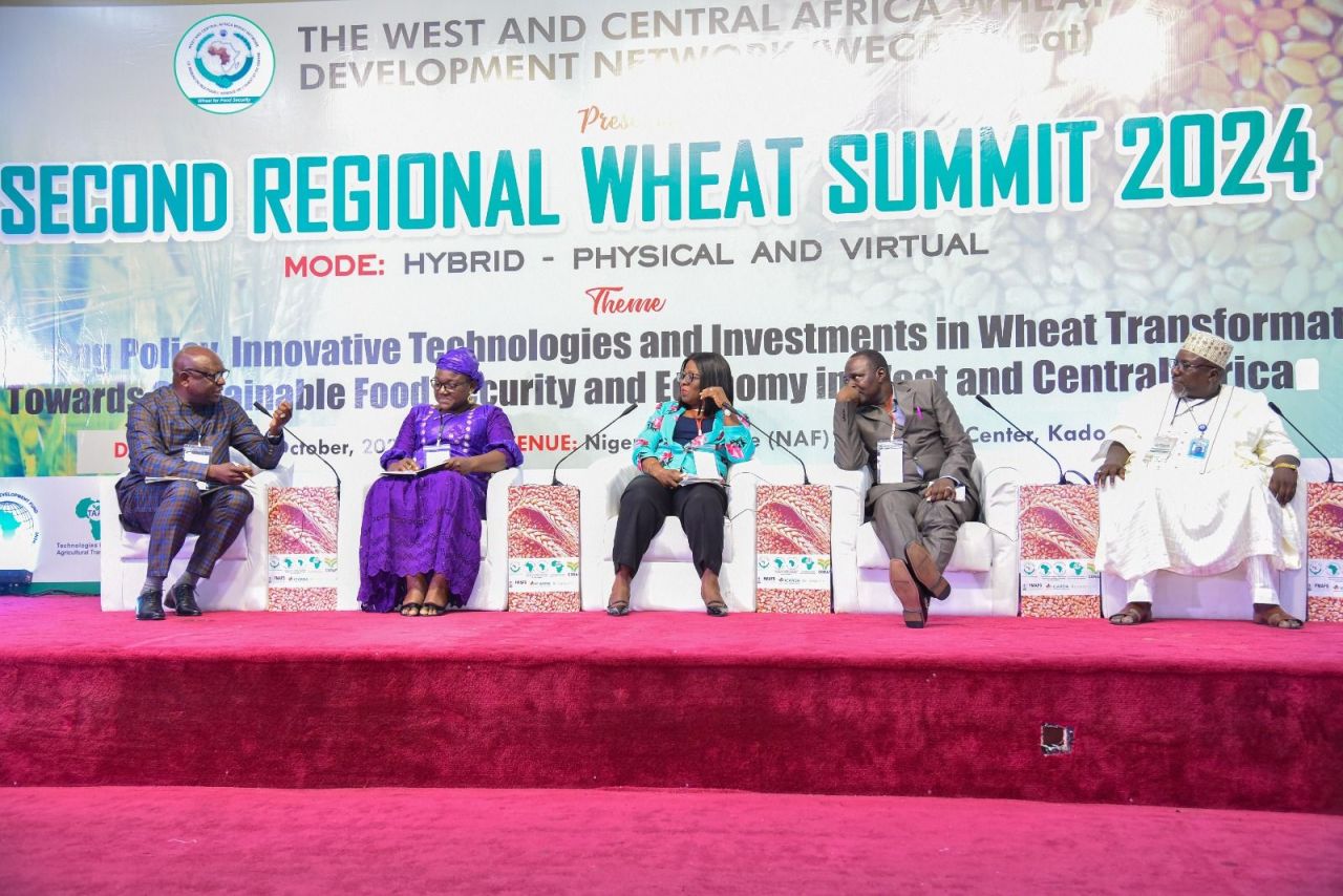 Nigeria spends $3.03 billion annually on wheat importation, according to the West and Central Africa Wheat Development Network (WECAWheat)