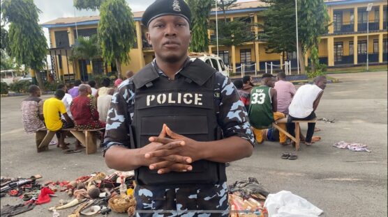 The Imo State Police Command says it has dismantled a camp allegedly operated by IPOB and its militant wing, ESN, detaining 29 terrorists