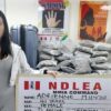 NDLEA nabs Canadian with drugs at Lagos airport, intercepts ₦9b opioids in Rivers