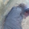 Notorious bandit leader, Daji, killed in Gusau