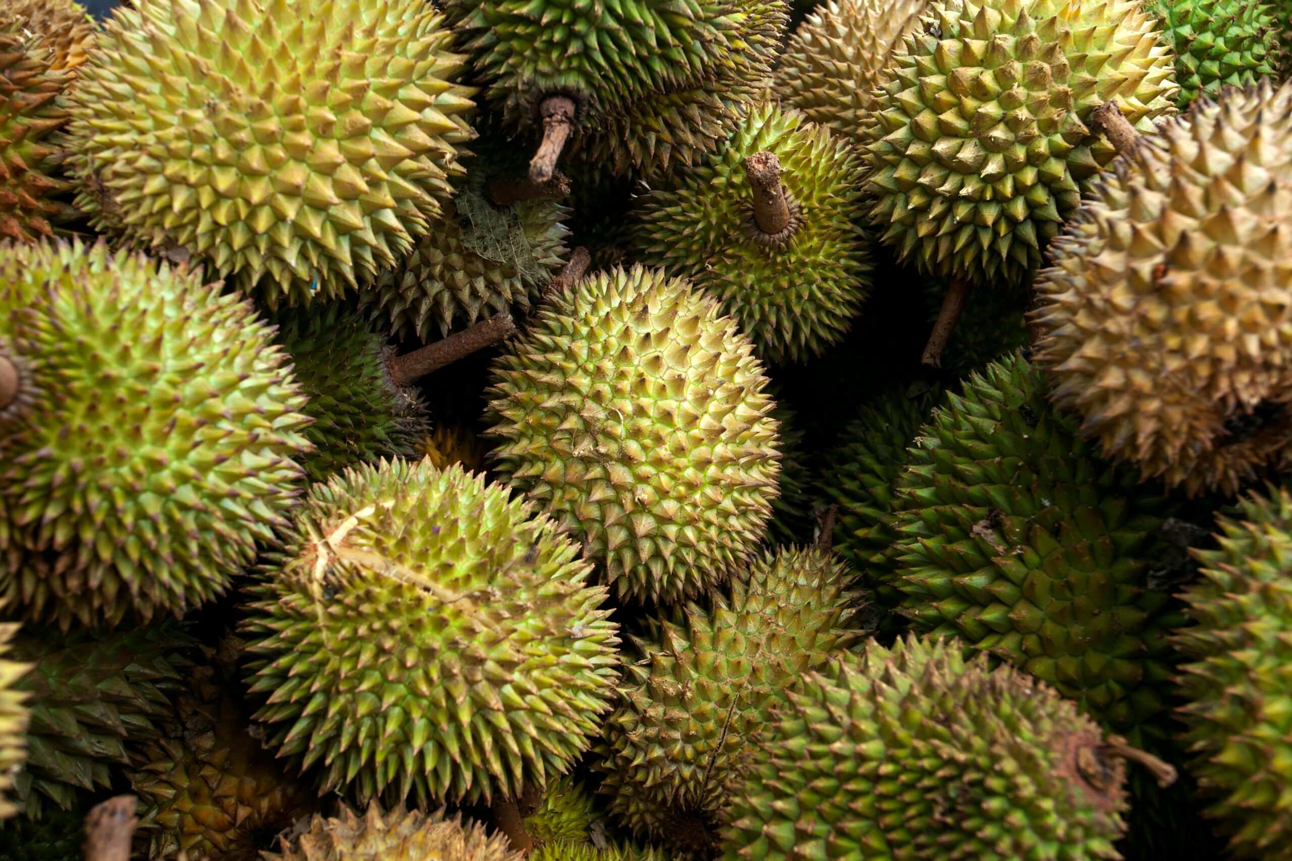 Durians