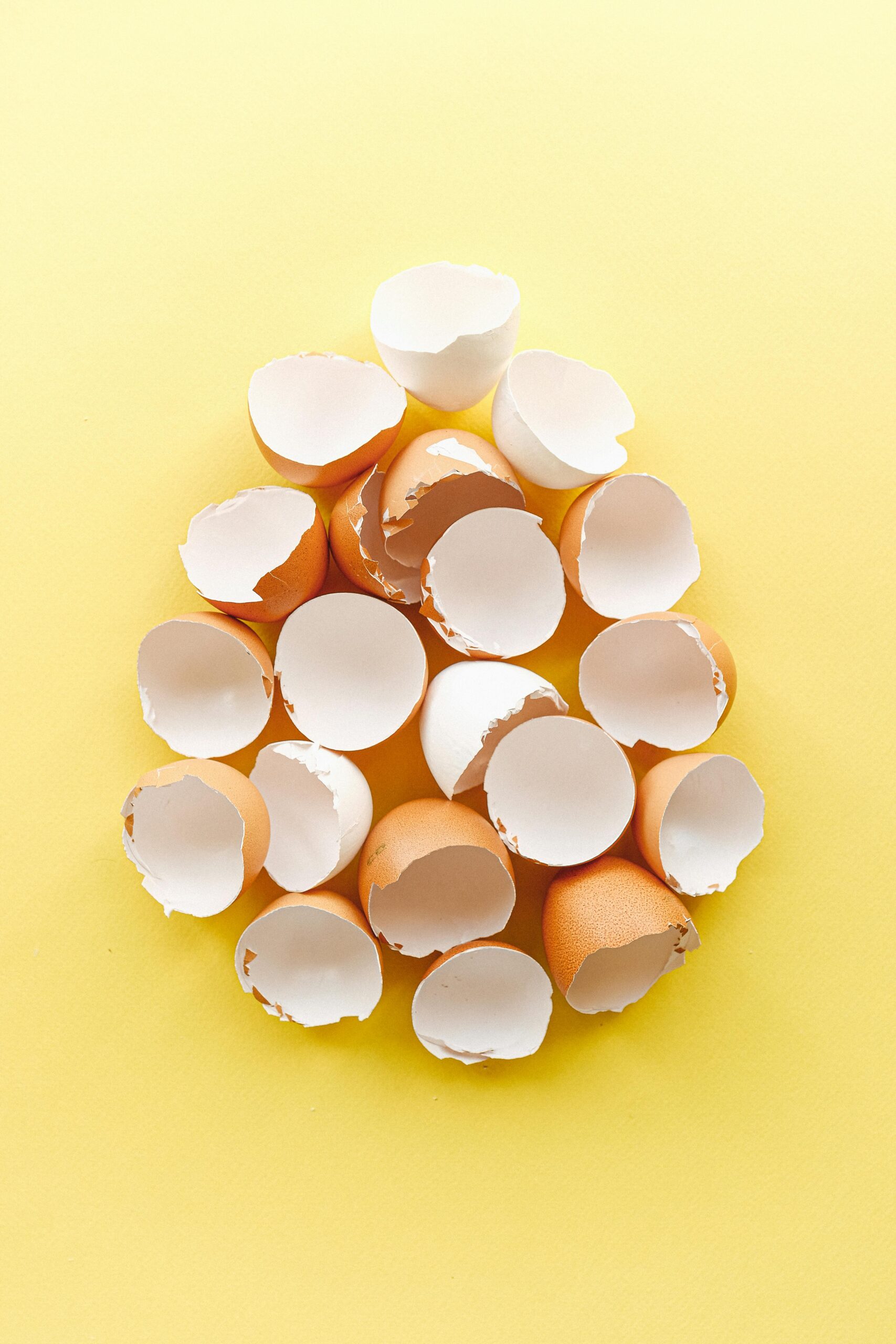 Eggshells