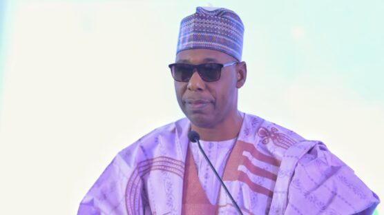 Borno State Governor, Prof. Babagana Umara Zulum, has approved a pay rise for medical doctors in the state civil service