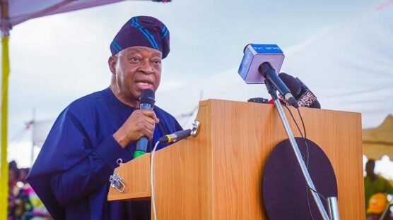 Minister of Marine and Blue Economy, Adegboyega Oyetola, has established an inter-ministerial committee as it seeks return to the International Maritime Organisation (IMO) council