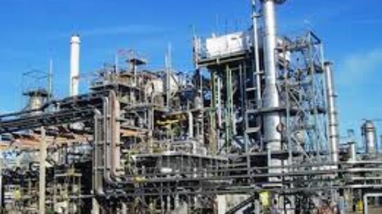 A group, the Niger Delta Development & Transformation Initiative (NDDTI) has told the NNPCL to stop playing politics with the repair of the Warri and P/Harcourt refineries