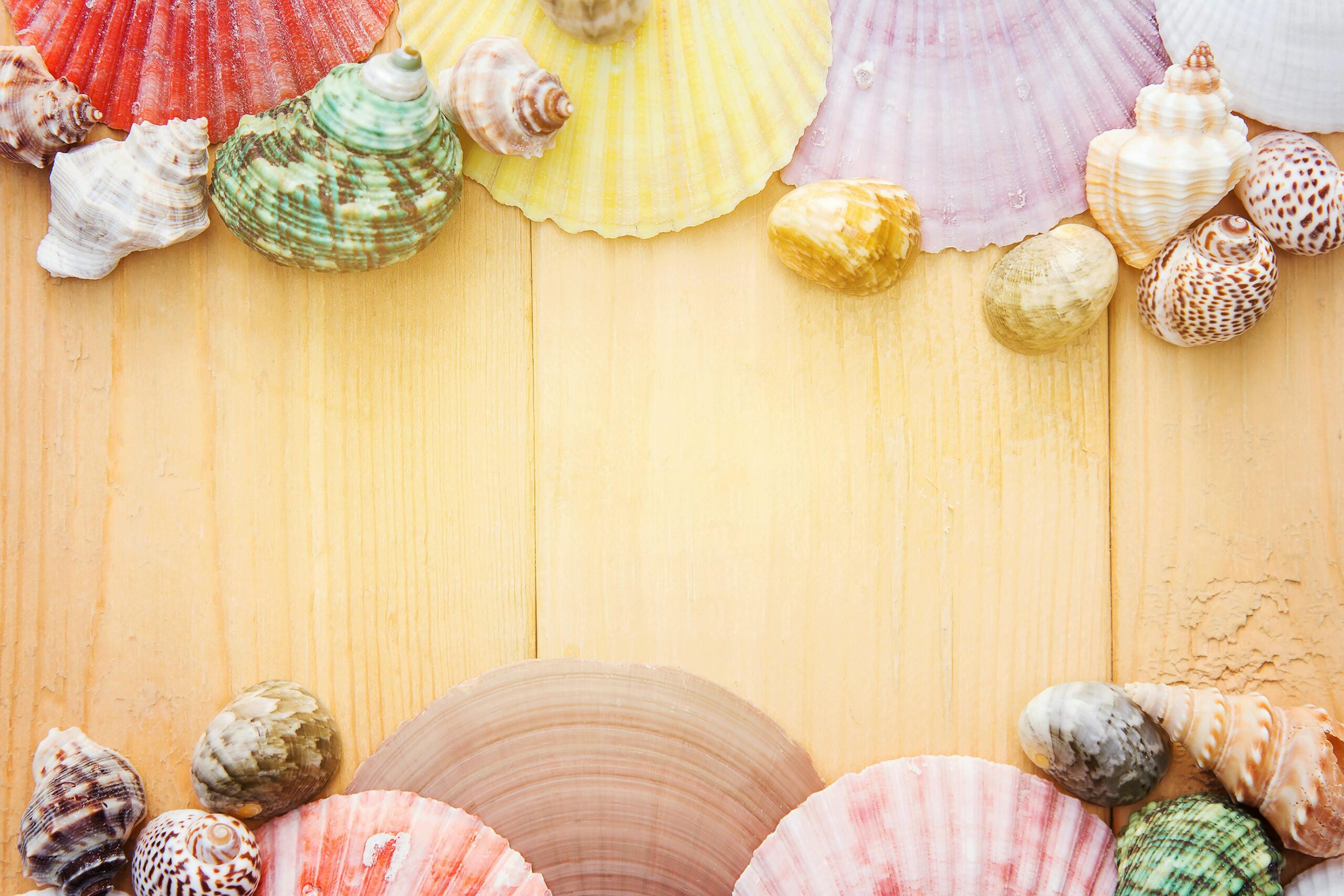 Sea shells