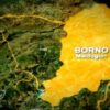 Flood committee disburses N18bn to 101,330 Borno households