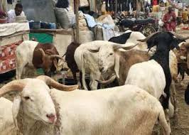 Kogi govt orders closure of Zango Market over security concerns