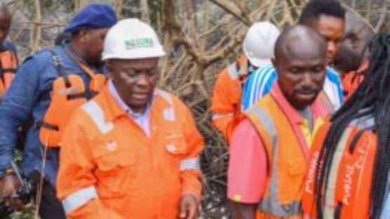 Rivers: NOSDRA DG urges immediate repair of NNPCL well-head leak