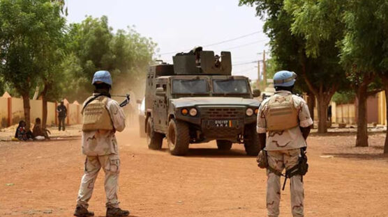 At least eight civilians have been killed in central Mali, several sources said on Sunday, accusing the Malian army and Russia's Wagner group