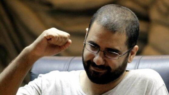 Egyptian political figures call for activist's release