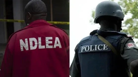 NDLEA/Police