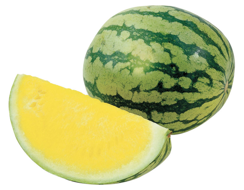 Yellow-Watermelon